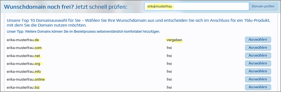 Die Wunsch-Domain kann man auf 1blu.de einfach prüfen. Dieser Schritt gehört zur Planung einer Website dazu.