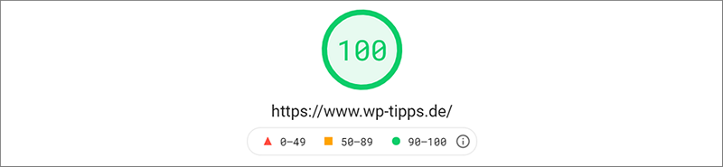 Ergebnisdarstellung PageSpeed Insights