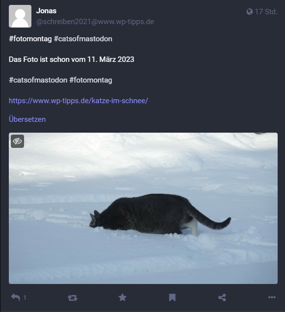 Abbildung des WordPress Blog-Beitrag "Katze im Schnee" bei Mastodon